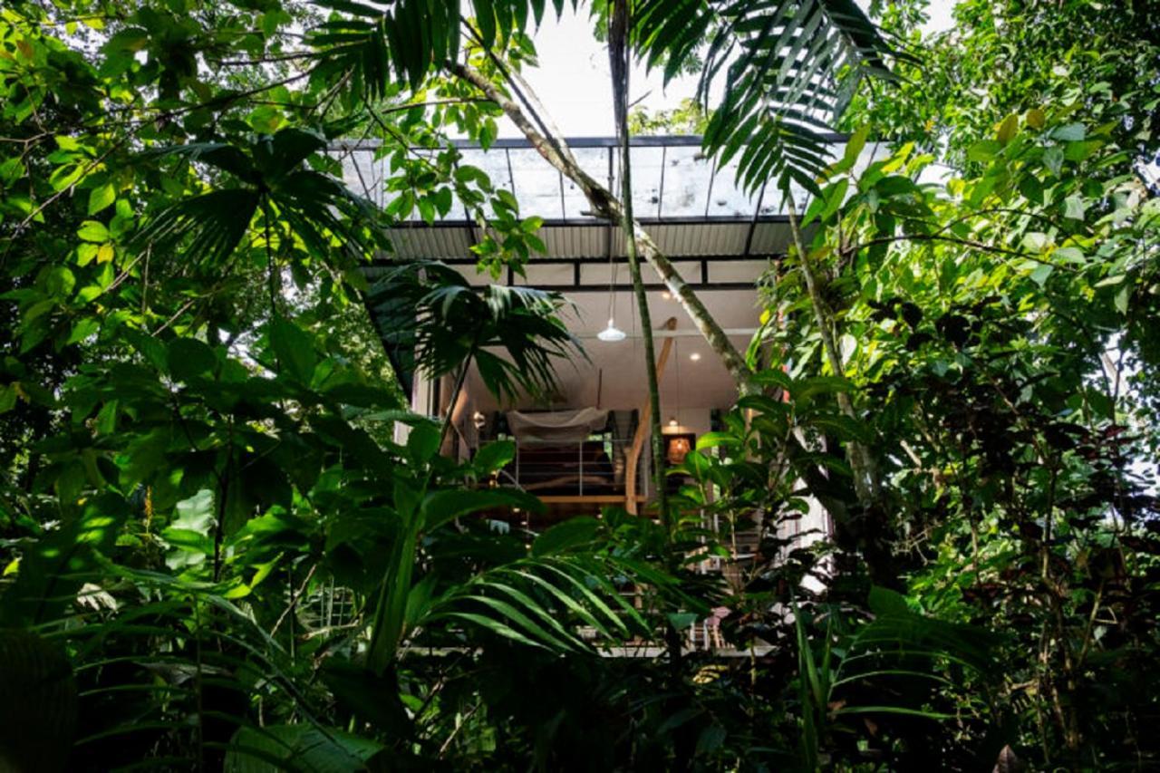 Perezoso Villa. Jurassic Park Loft In The Jungle Puerto Viejo de Talamanca Buitenkant foto